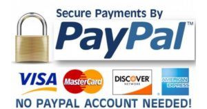 paypal 02 600x353 w2791 1200x630 300x158 - Purchase Services